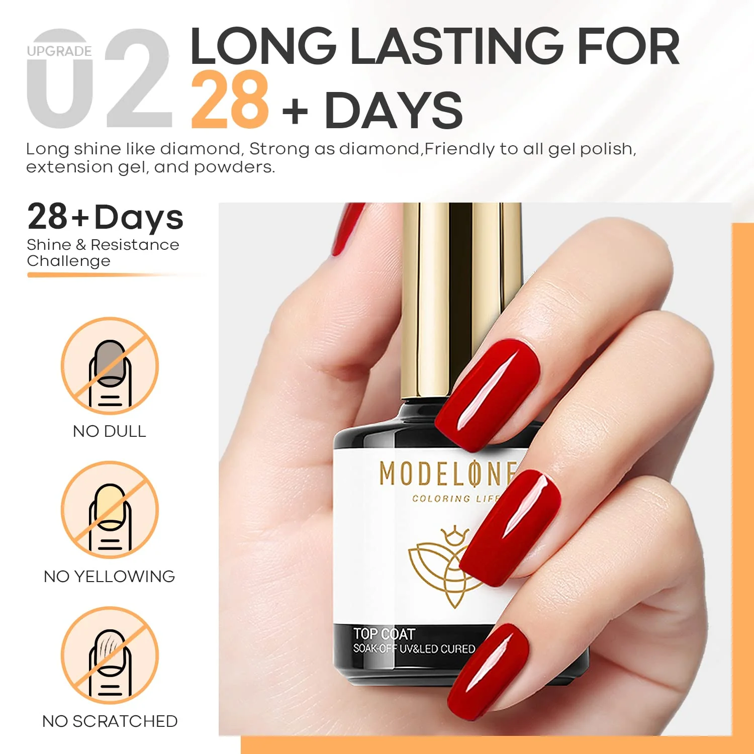 Base Coat & Top Coat Set - Image 4